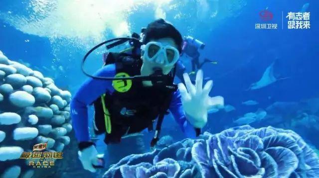 奇妙香蕉之旅